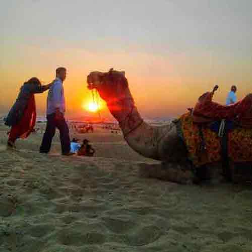 Camel safari Sam dunes