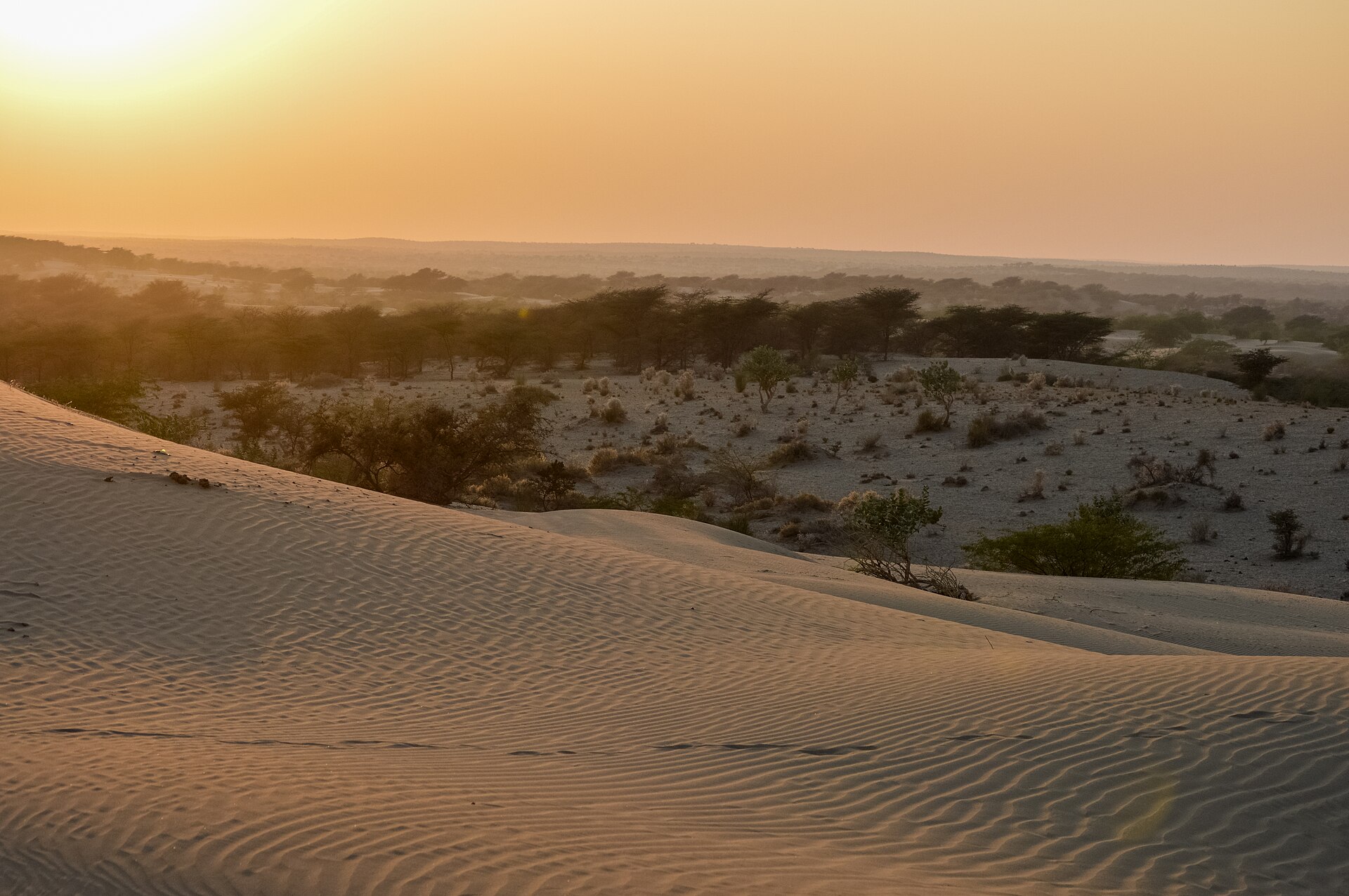 Golden sand dunes near Jaisalmer
